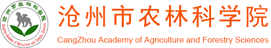 CangZhou Academy of Agriculture and Forestry Sciences