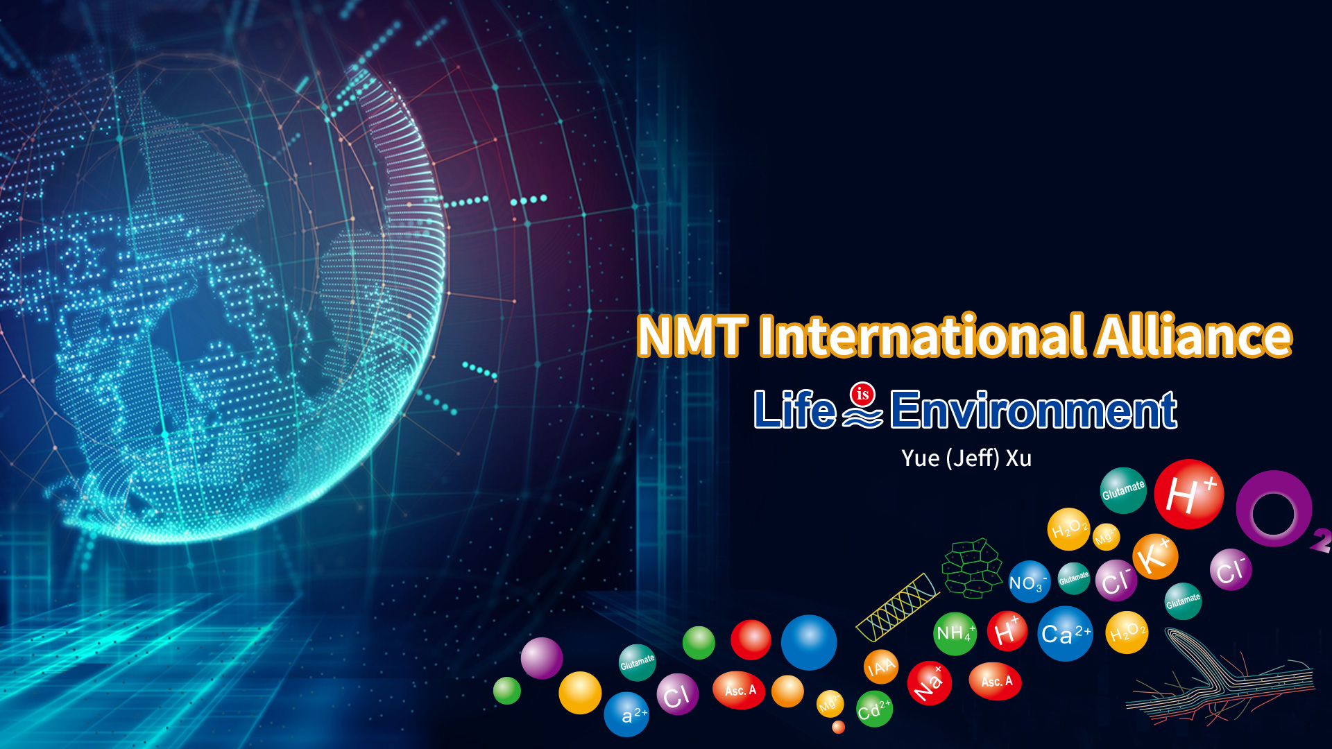 NMT International Alliance — global research network